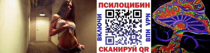 дарнет шоп  Осташков  Галлюциногенные грибы Psilocybine cubensis 